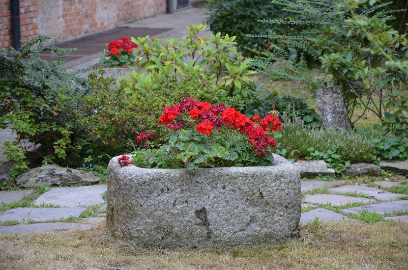 DSC_0094 (2)